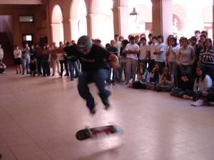 DSC01979